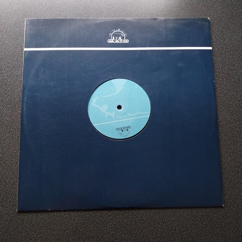 Vinyl dag latin - dj,